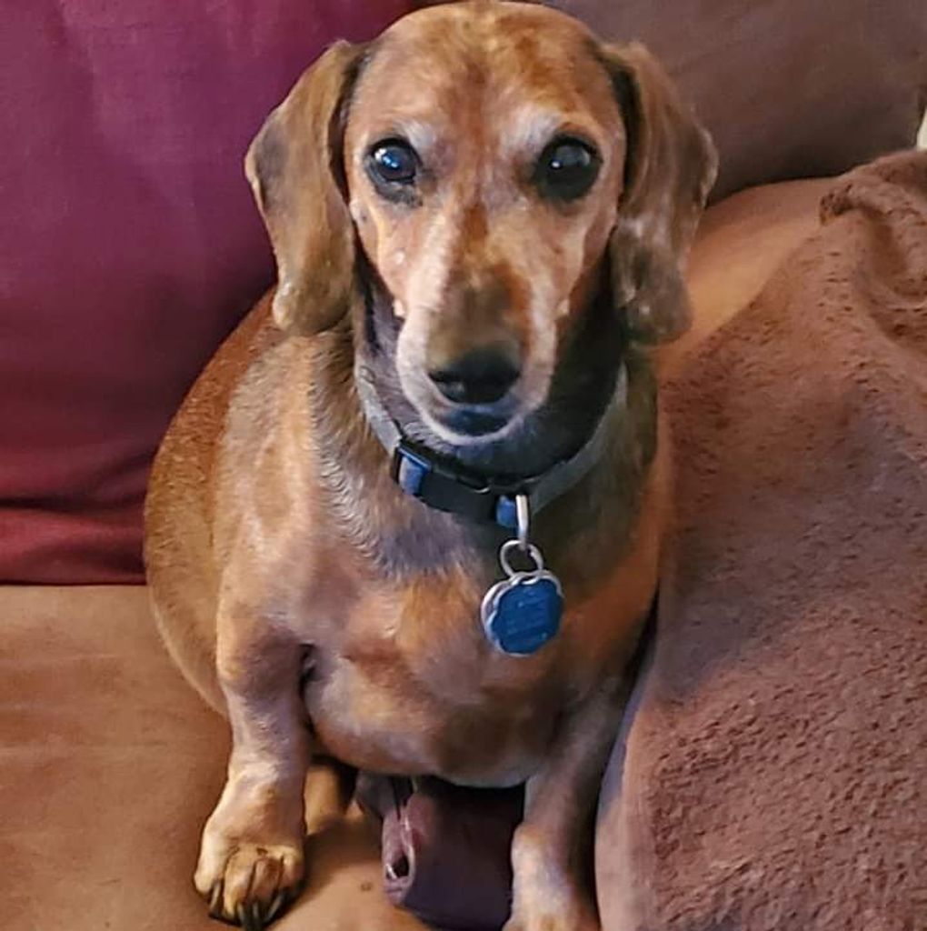 Lil' Man Profile Photo