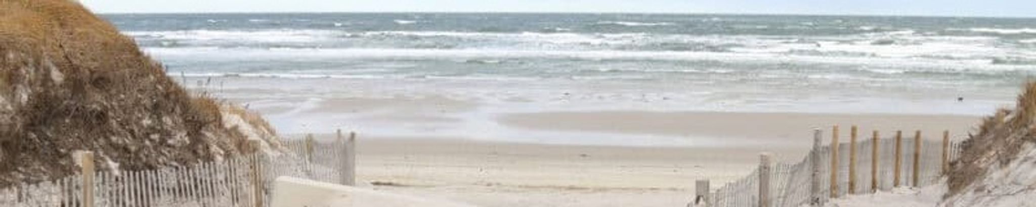 Cover photo for Sheila Irene Altobelli's Obituary