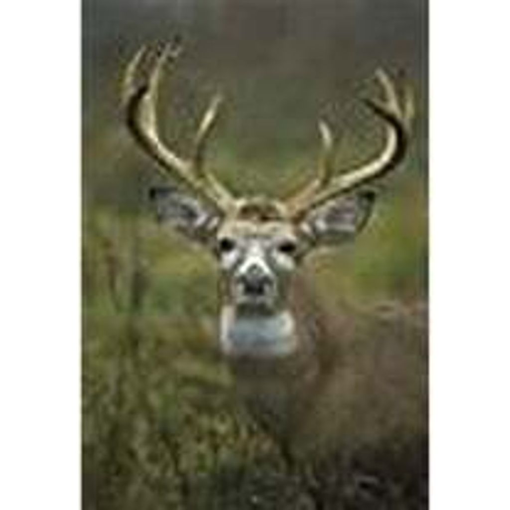 Lewis "Bud" Utley Jordan Profile Photo