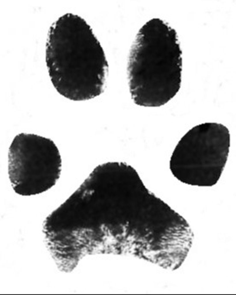 Max Sloop Profile Photo