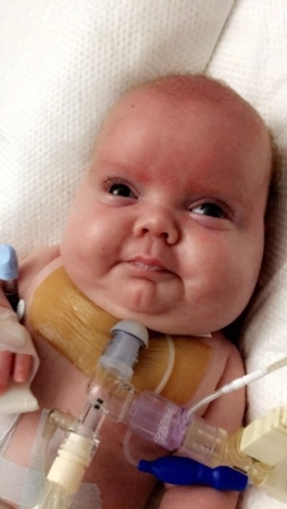 "Zander" Alexander Peter Johnston