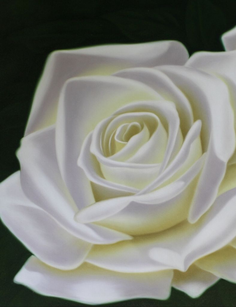 Betty Ann Luco Profile Photo