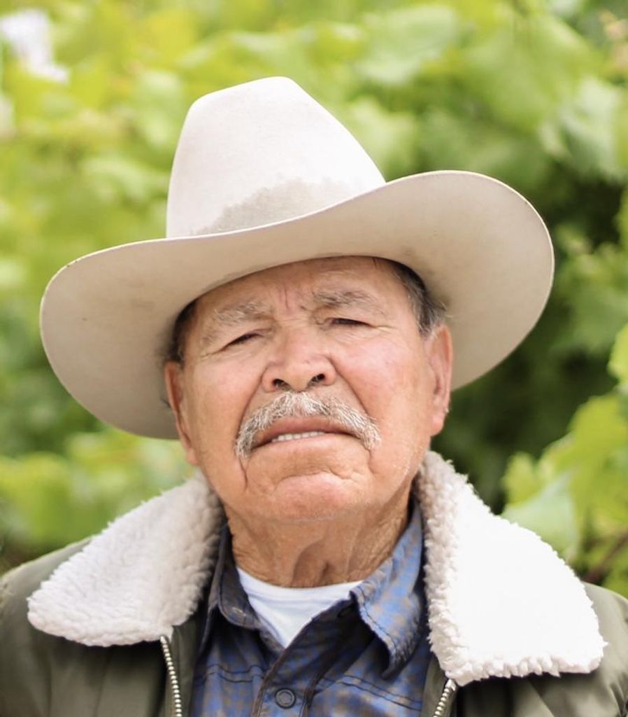 Jose - Tovar Profile Photo
