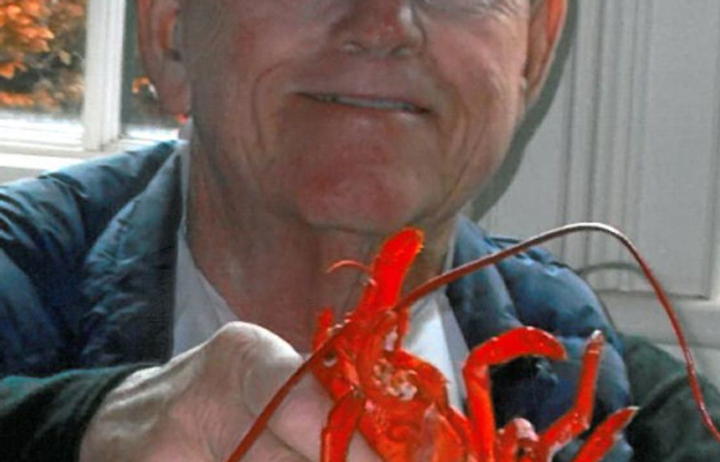 Dennis Alan Shine