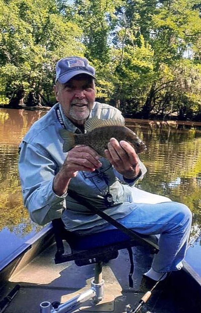 Lewis Hazel Profile Photo