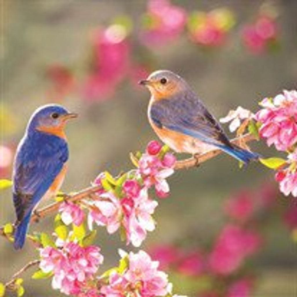 Lenore  Pluss Kuptzin