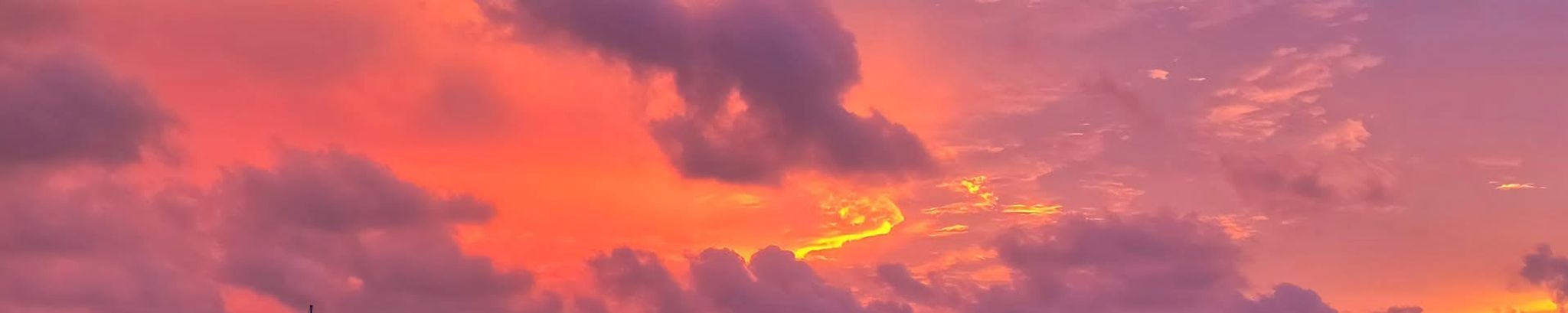 Cover photo for Stephanie Ann Hall's Obituary