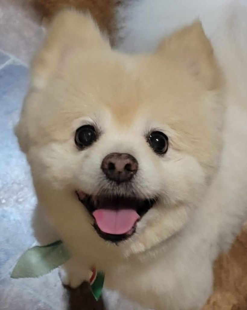 Cotton Caldwell Profile Photo