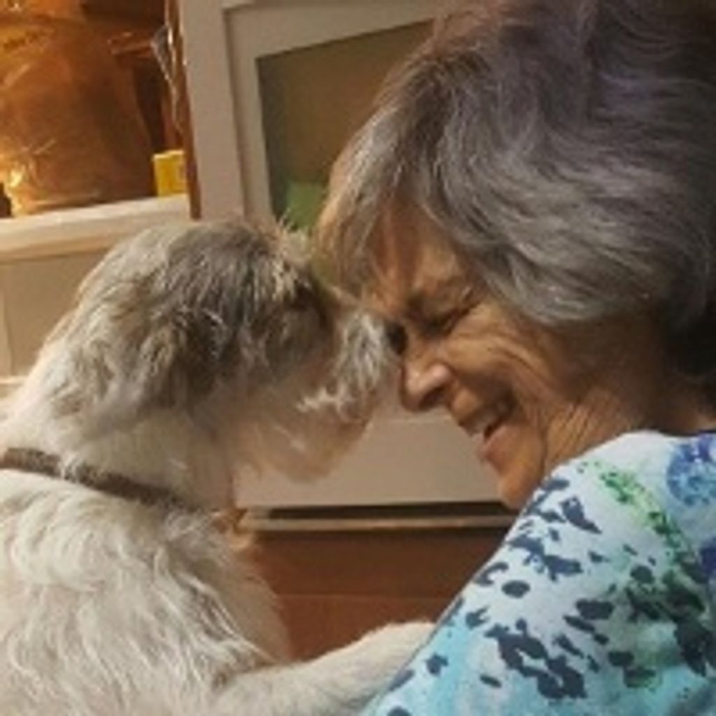 Linda Day Profile Photo