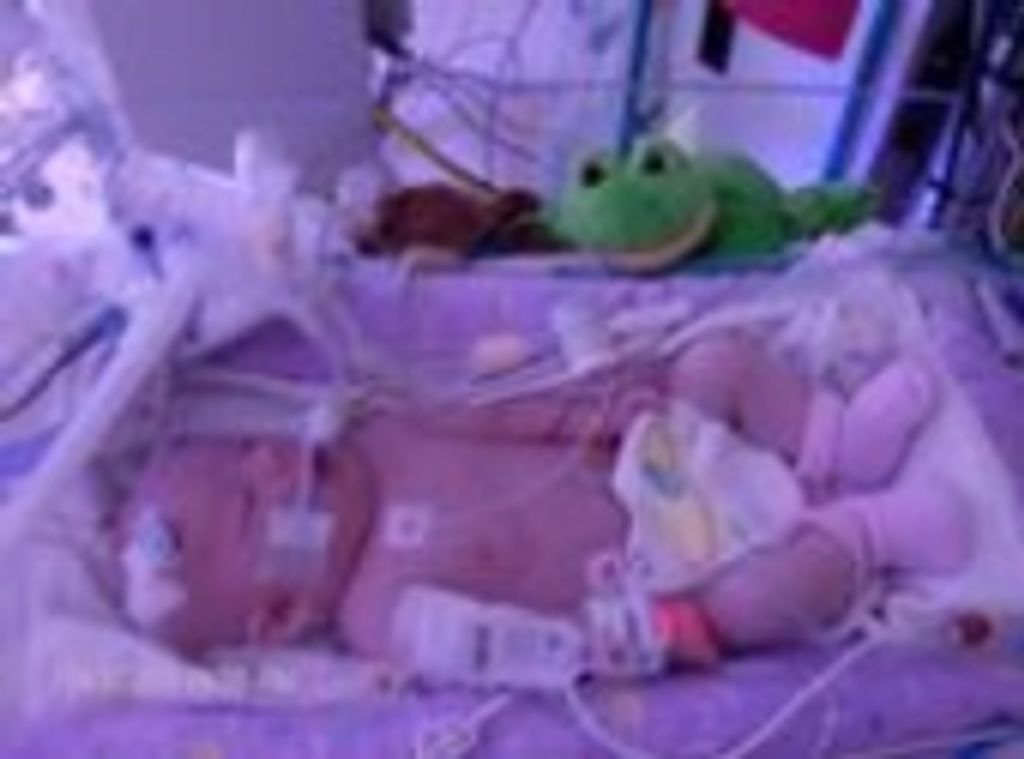 Kaelyn Rae Capell Profile Photo