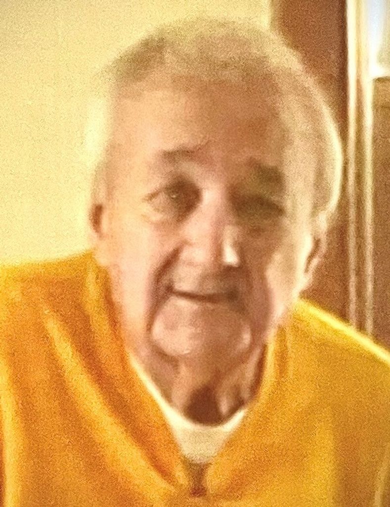 Pasquale Stefanelli Profile Photo