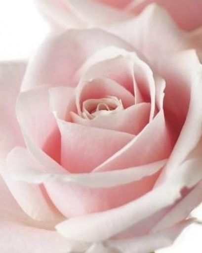 Alize Louise White Profile Photo