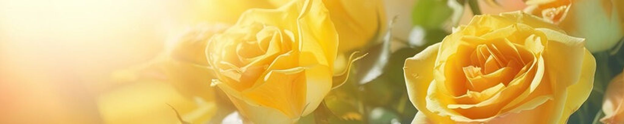 Cover for Maria Elvira Ramos Grijalva's Obituary