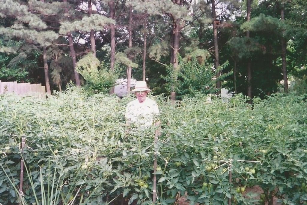 Joseph Frank Hester Jr.