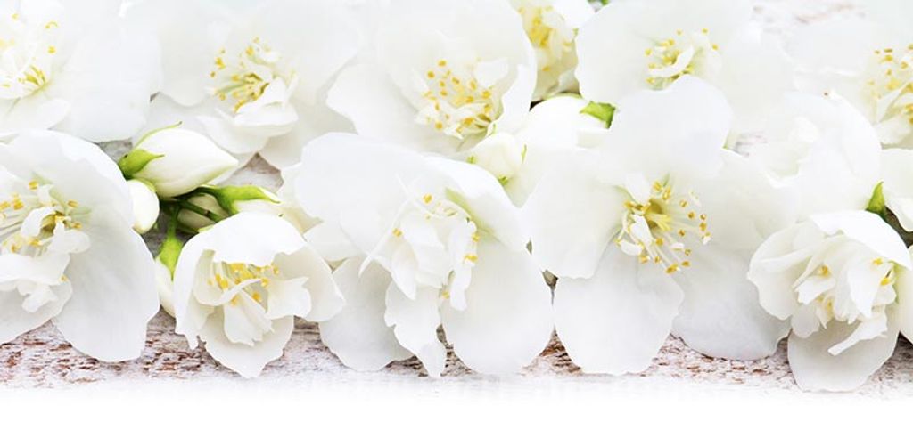 Margaret June Manning