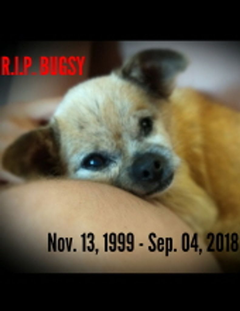 Bugsy .