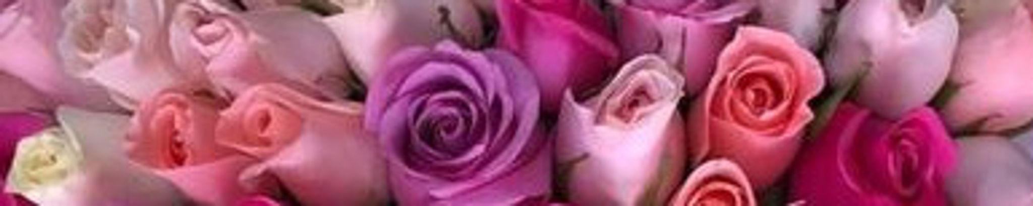 Cover photo for Anita M. Lord's Obituary