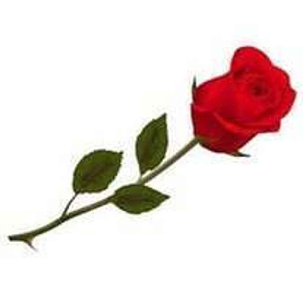 Irene Anne Lindenberger Profile Photo