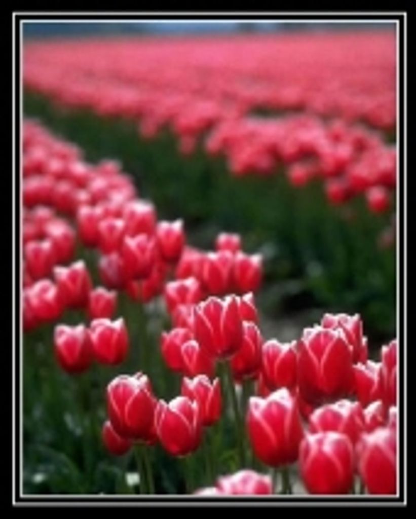 Catherine  L. Greenlief