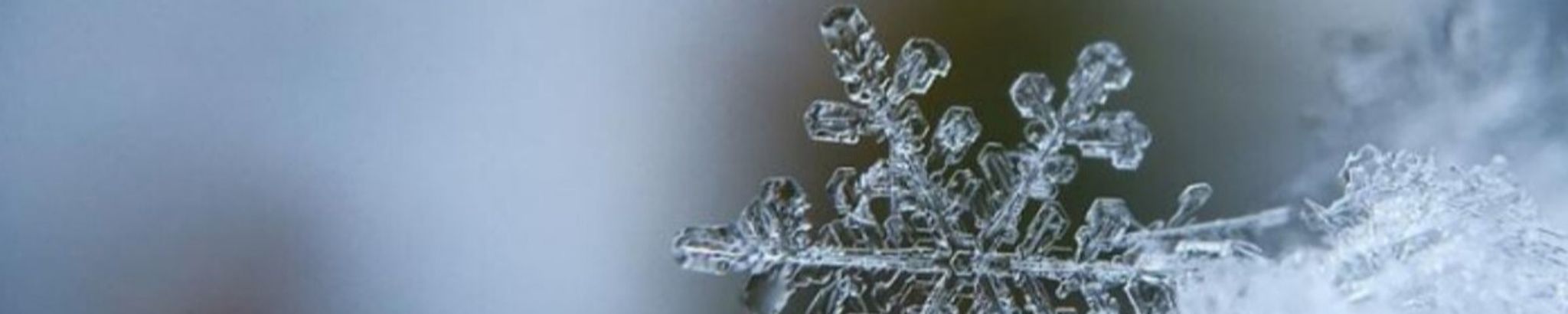 Cover photo for John Ray Testerman's Obituary