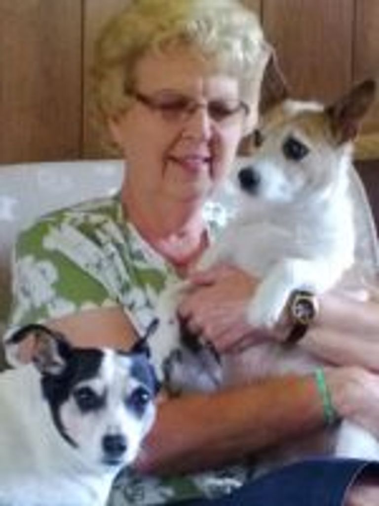 Carol Jean Seibert
