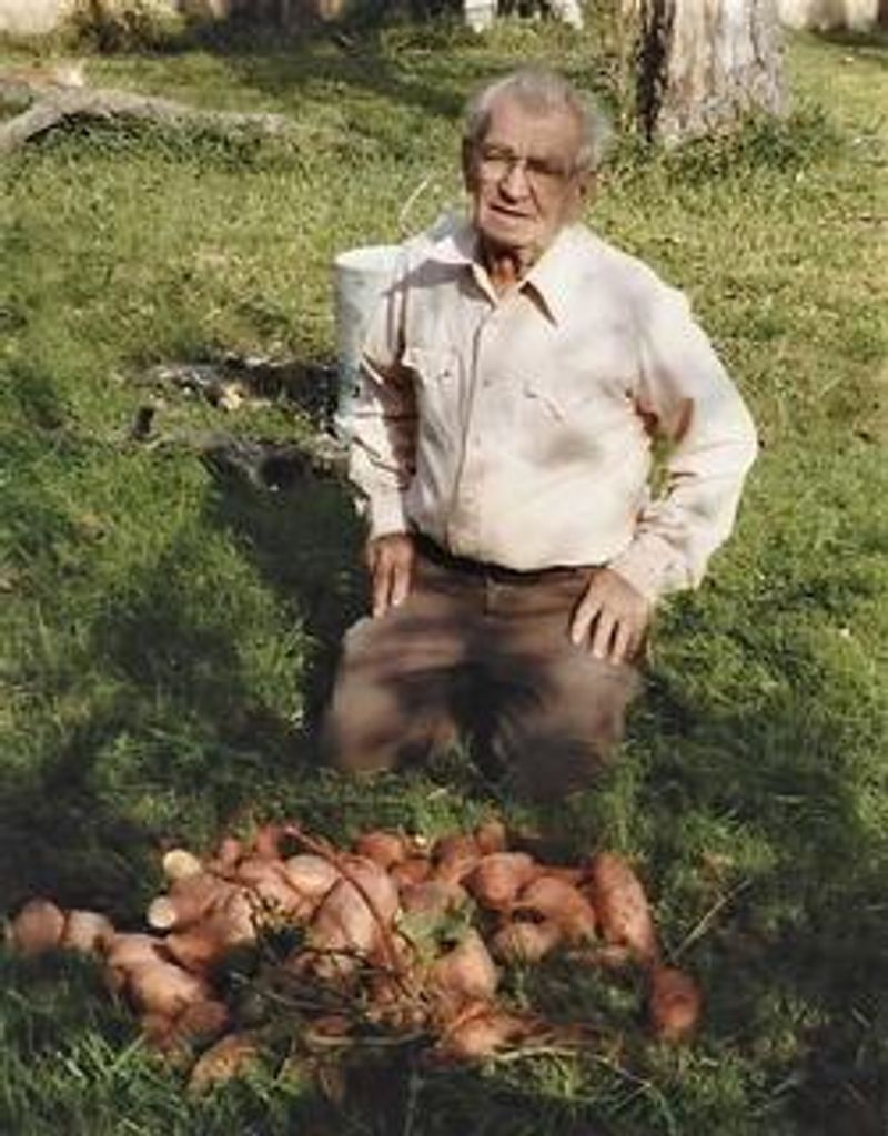 Horace Dale Reed Profile Photo