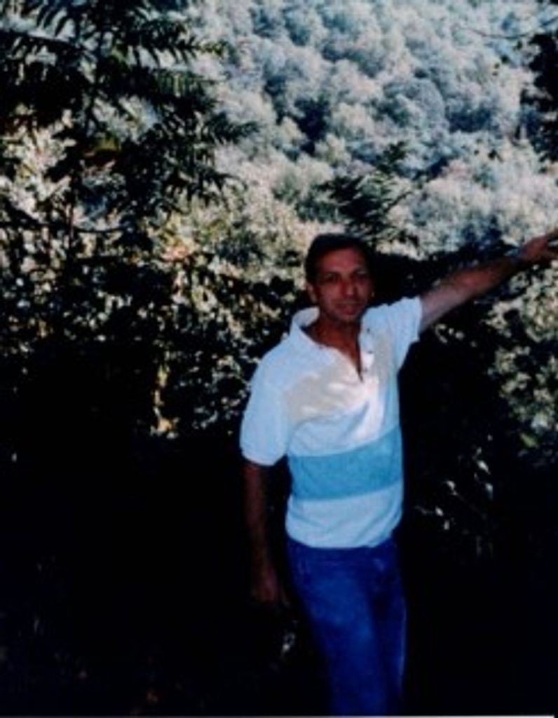 Frank Stillings