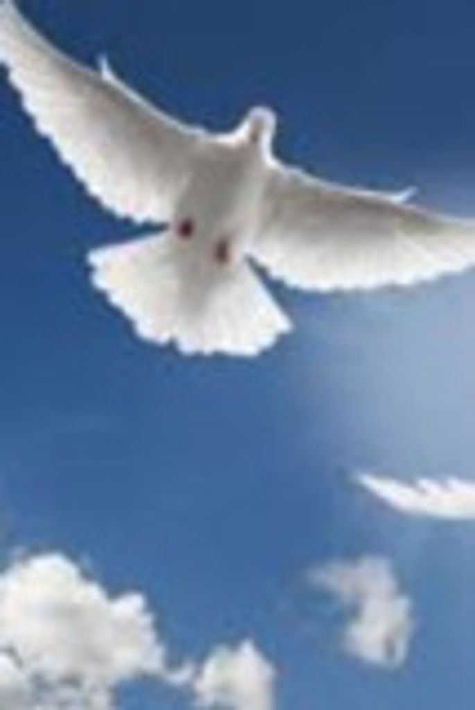 Alfred Birdine Profile Photo