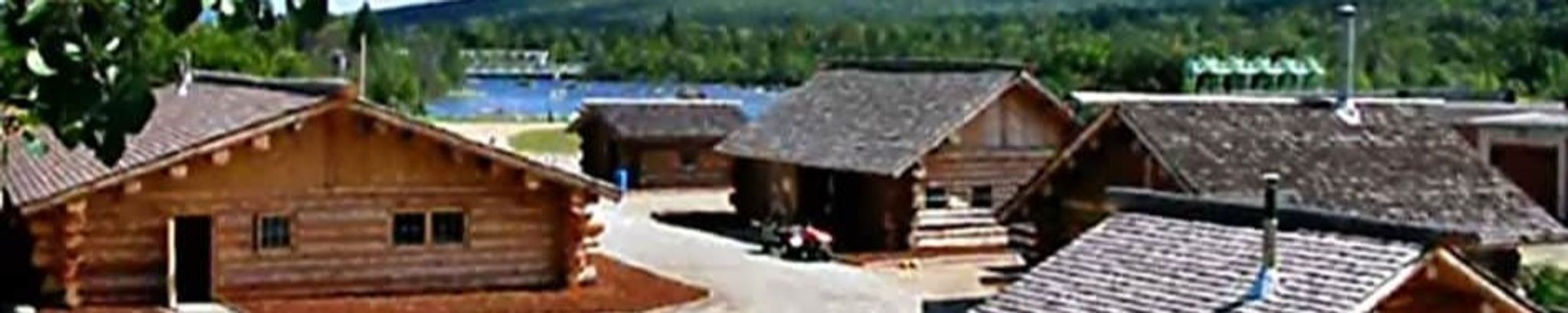 Cover for Dona Larsen's Obituary