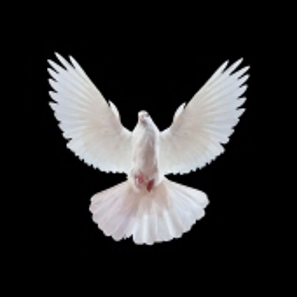 Modesto Morales Profile Photo