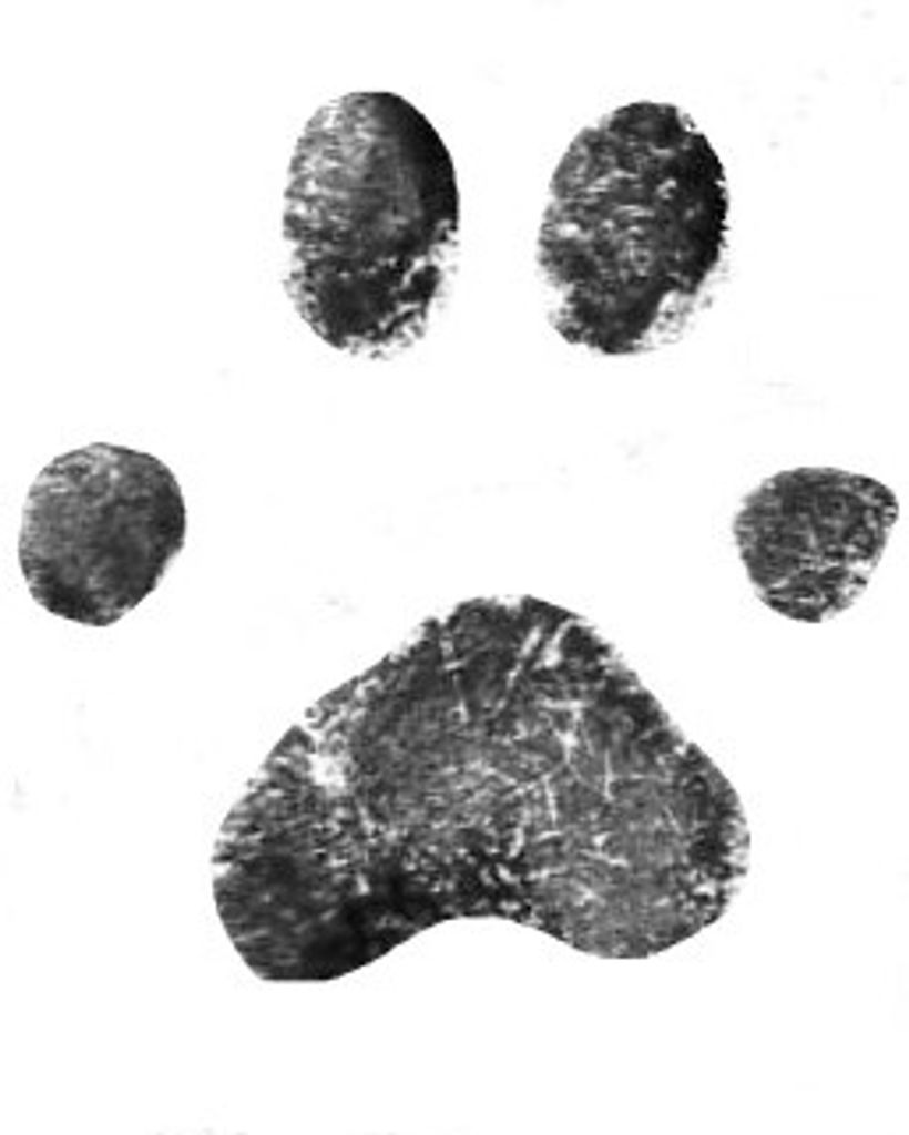 Milo Ramsey Profile Photo