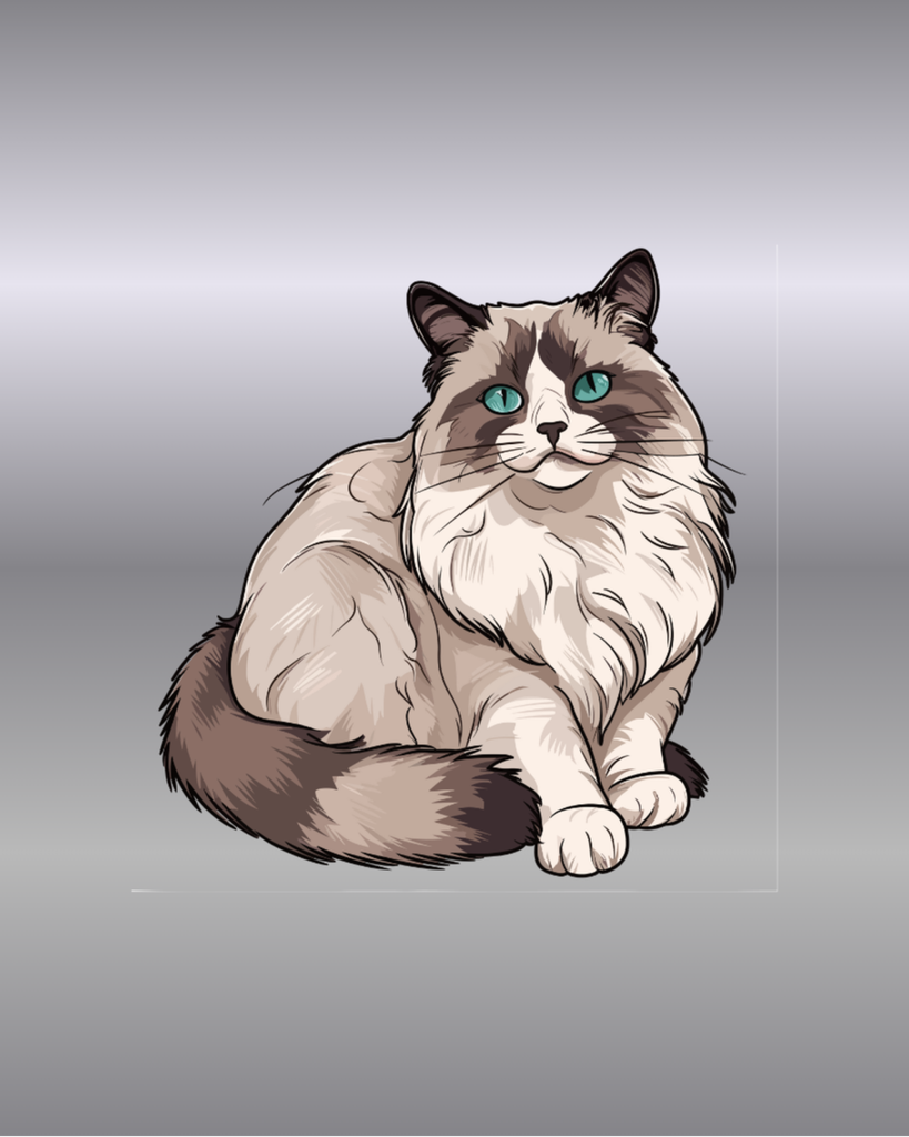 Kordova Kramer Profile Photo