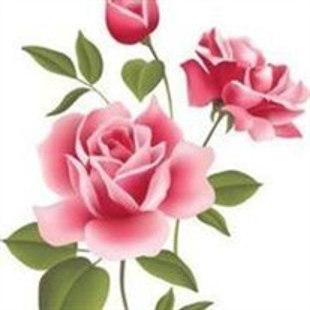 Doris Doss Shelton
