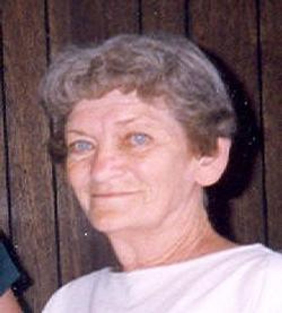 Joan H. Sleddens