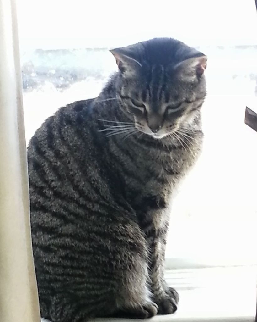 Bella Grimes Profile Photo