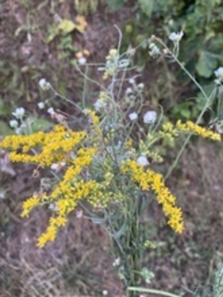 Richard Paul Kurtz Profile Photo