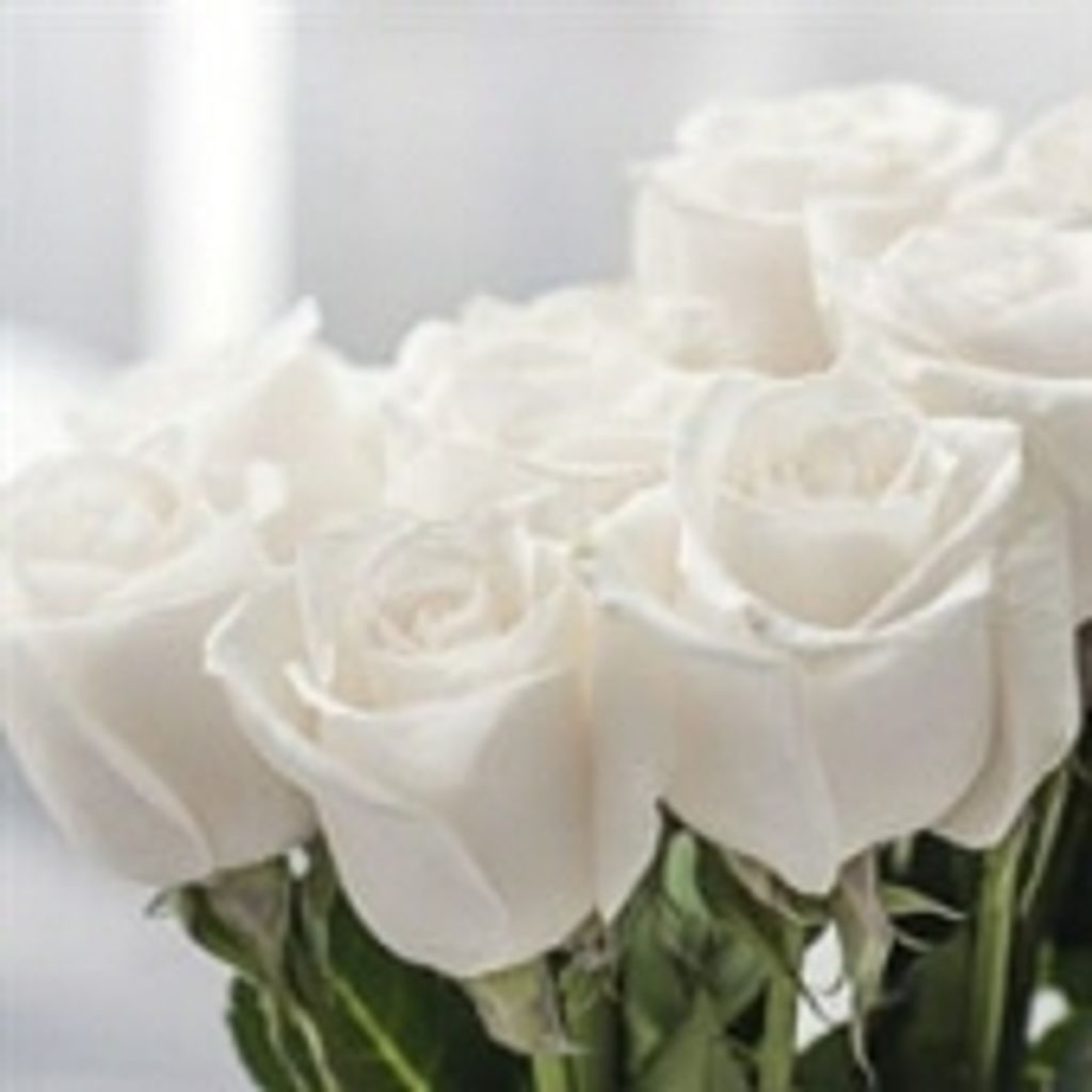 "Joan" Johanna Lemcke