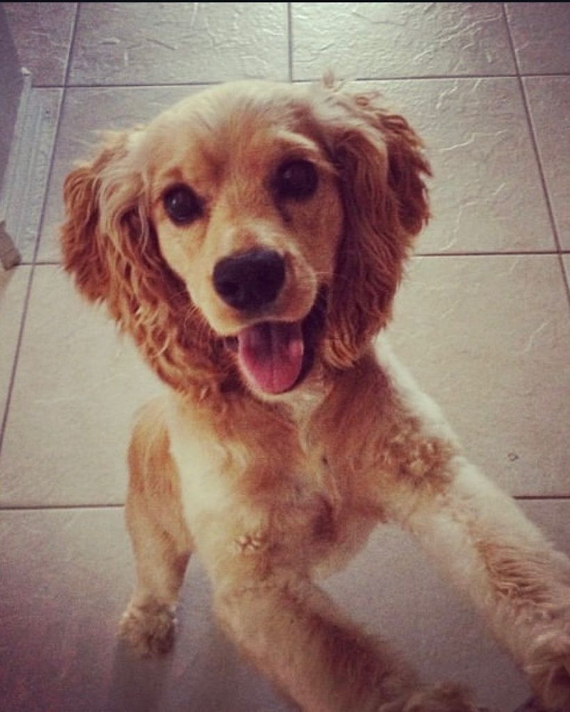 Bentley 🖤 Profile Photo