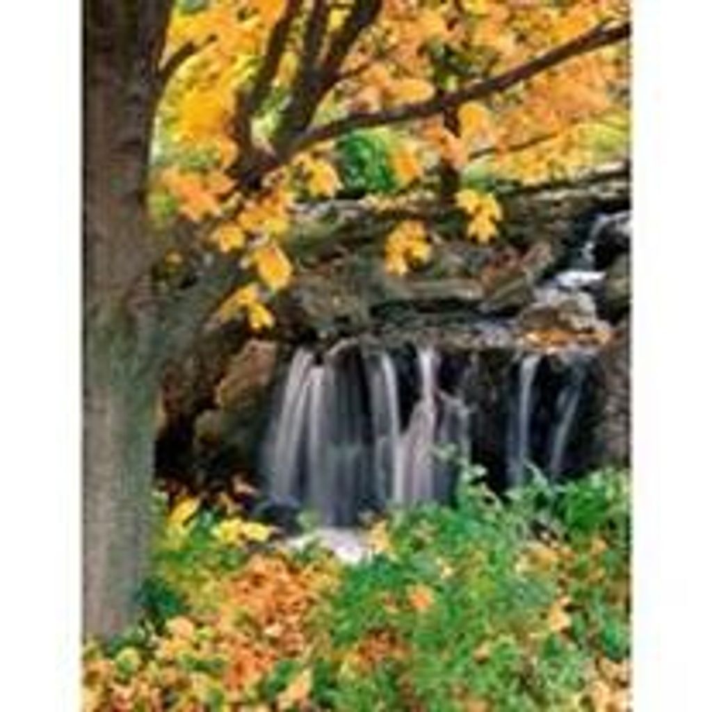 Gary Wayne Anthony Hawley