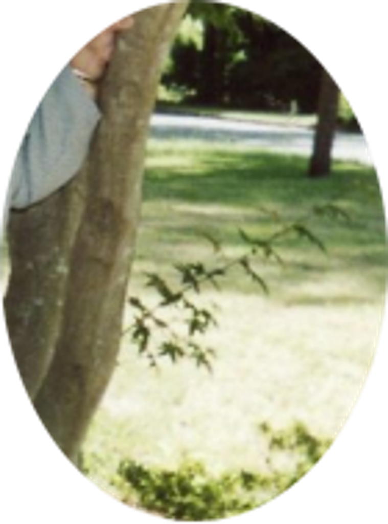 Louise Brown Profile Photo