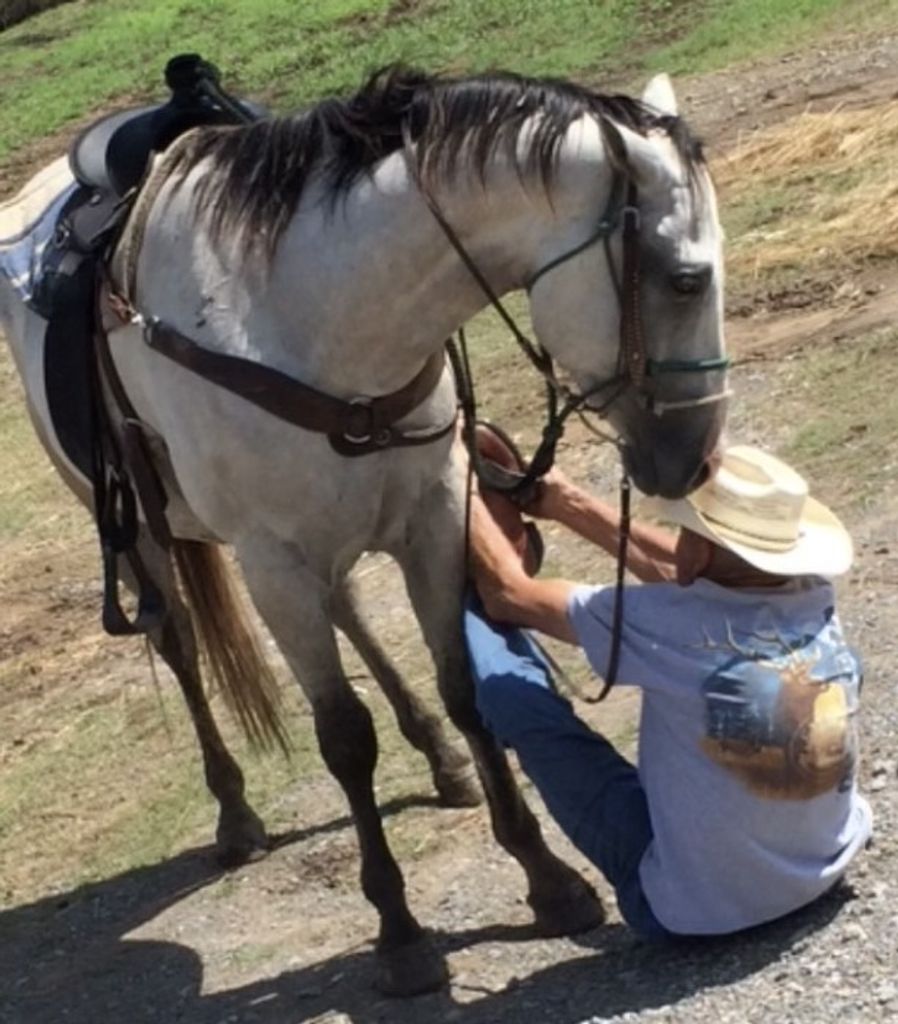Stanley F. "Jiggs" Swboni