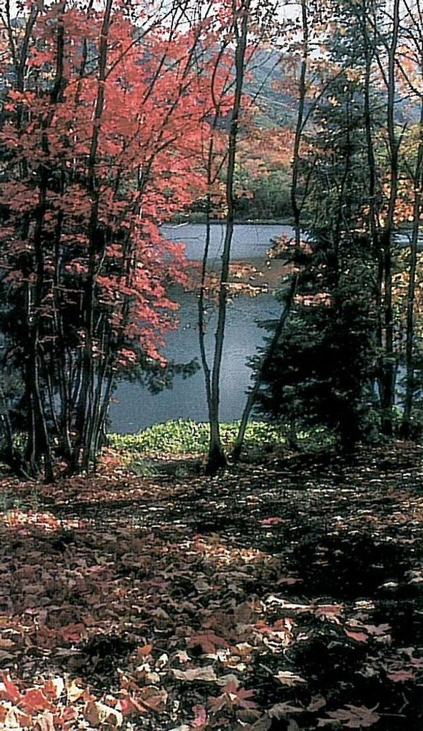 David M. Foster