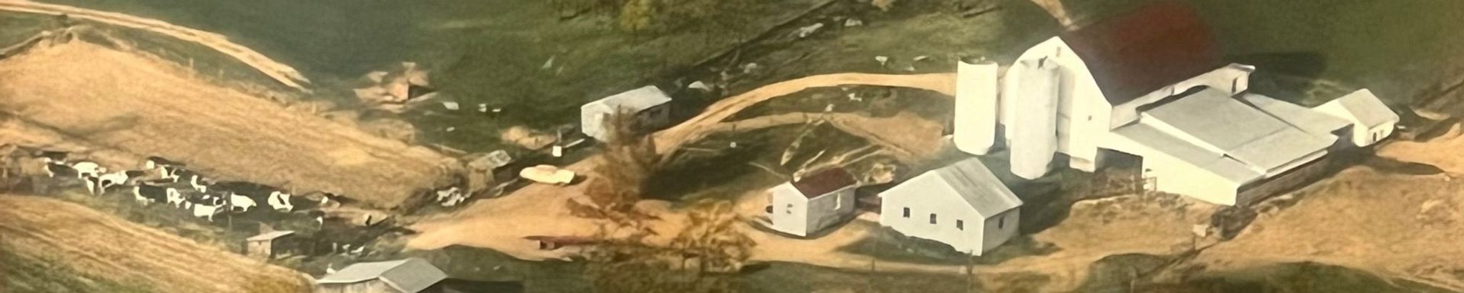 Cover for Nancy C. Swisher's Obituary