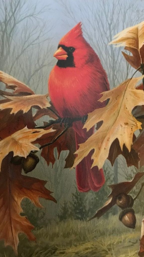 Charlotte L. Mazurowski Profile Photo