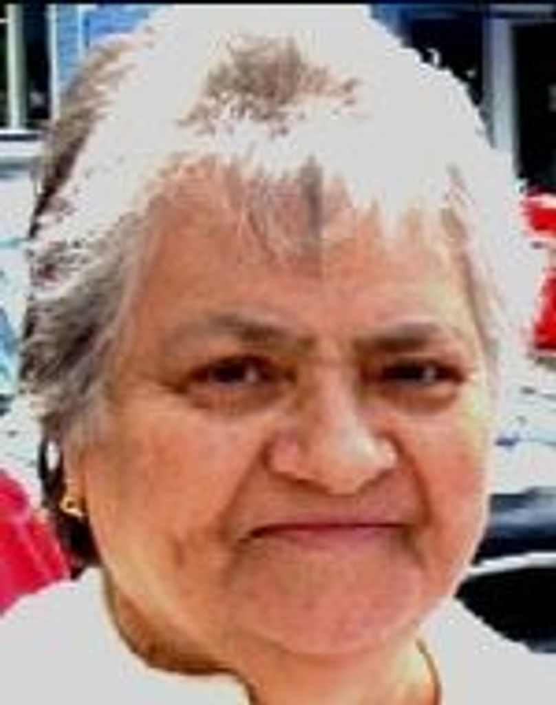 Maria Margarida Medeiros