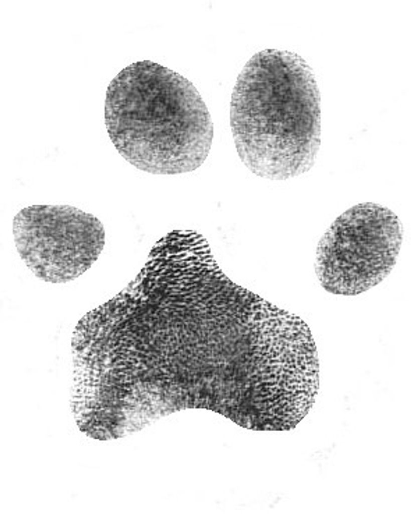 Spike Weaver Profile Photo