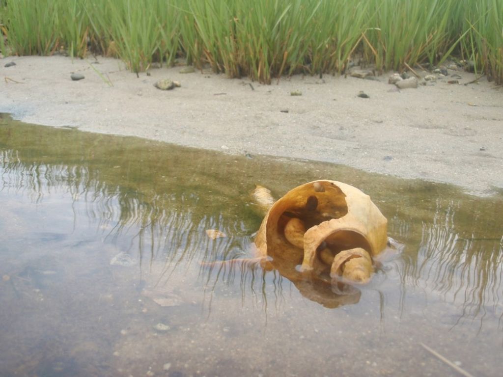 Betty Lou (Goff)  Denton