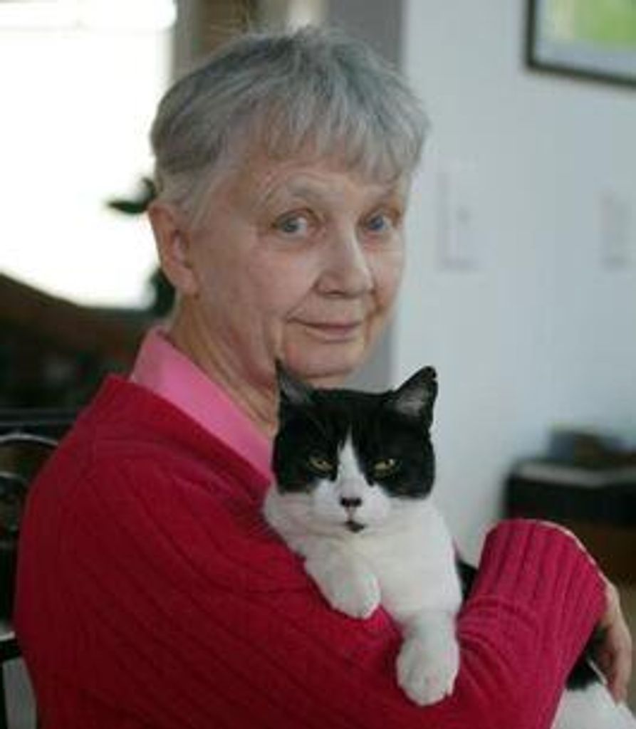 Laura Louise Vander Meer (Henkel) Profile Photo