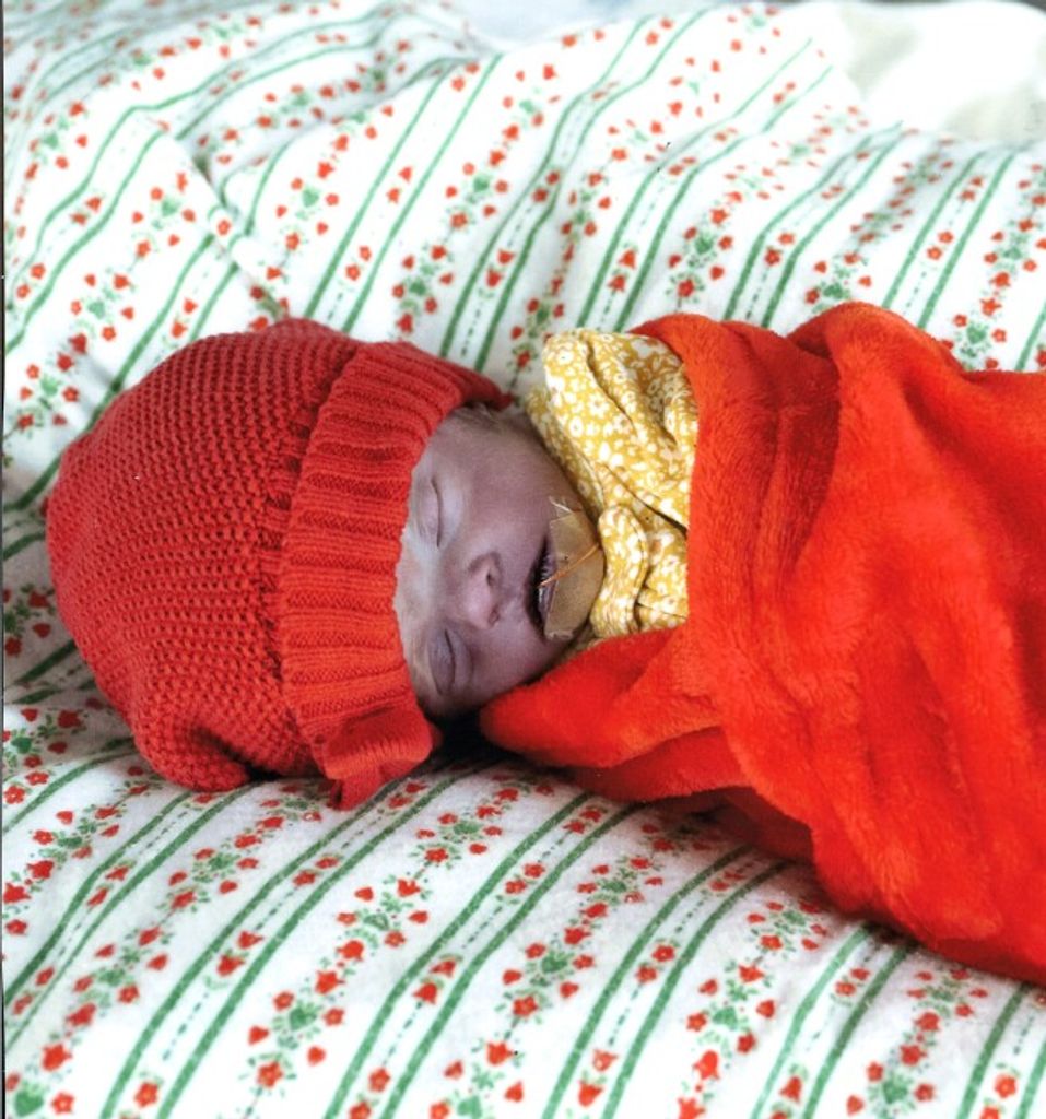 Rejoyce Renee Wolfe Profile Photo