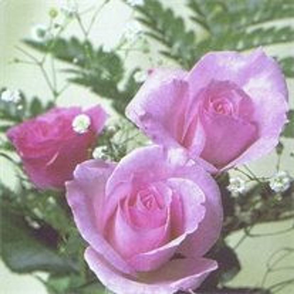 Tamzan A. Forslund